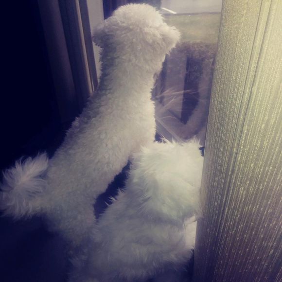 Meet your Posher, Stefanie - Picture 1 of 1